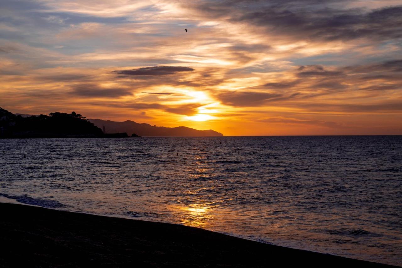 Apartamento Séptimo cielo primera línea de mar Blanes Exterior foto